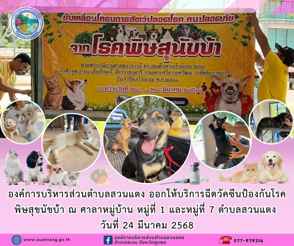 วันจันทร์ที่ 24 มีนาคม 2568 เวลา 09.00 - 16.00 น.