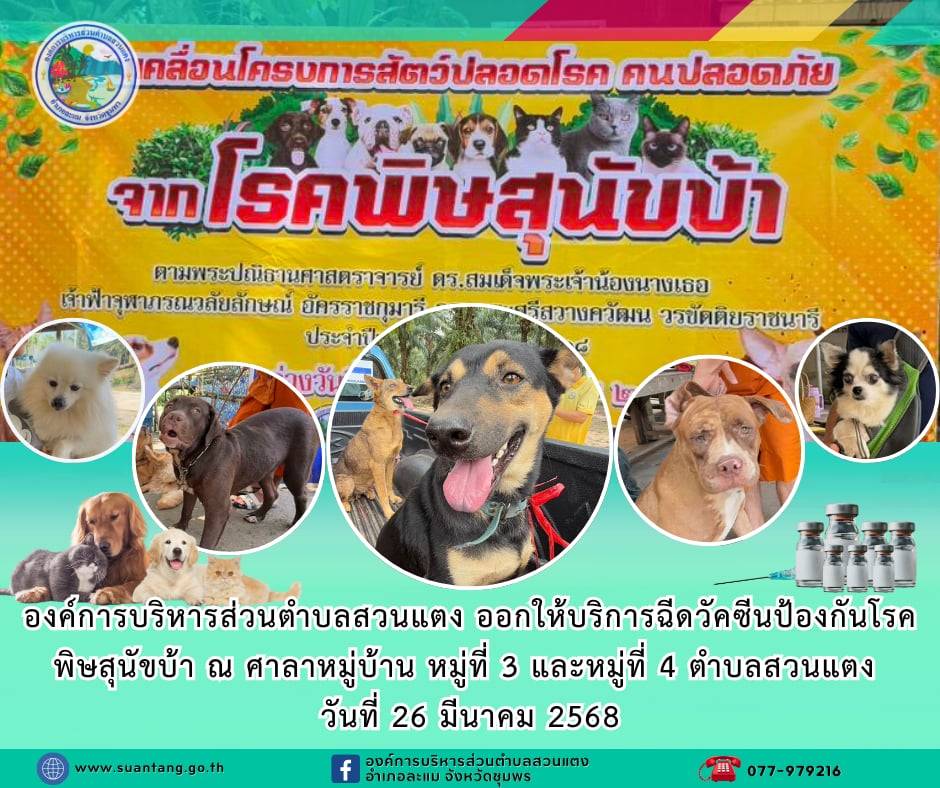องค์การบริหารส่วนตำบลสวนแตง ออกให้บริการฉีดวัคซีนป้องกันโรคพิษสุนัขบ้า ณ ศาลาหมู่บ้าน หมู่ที่ 3 บ้านในดวด และหมู่ที่ 4 บ้านดอนแค ตำบลสวนแตง อำเภอละแม จังหวัดชุมพร
