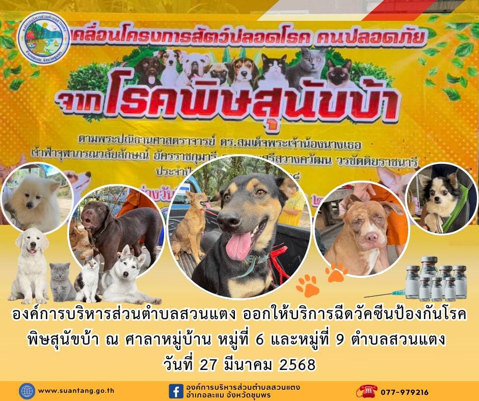 องค์การบริหารส่วนตำบลสวนแตง ออกให้บริการฉีดวัคซีนป้องกันโรคพิษสุนัขบ้า ณ ศาลาหมู่บ้าน หมู่ที่ 6 บ้านหนองบัว และหมู่ที่ 9 บ้านทะเลงาม ตำบลสวนแตง อำเภอละแม จังหวัดชุมพร
